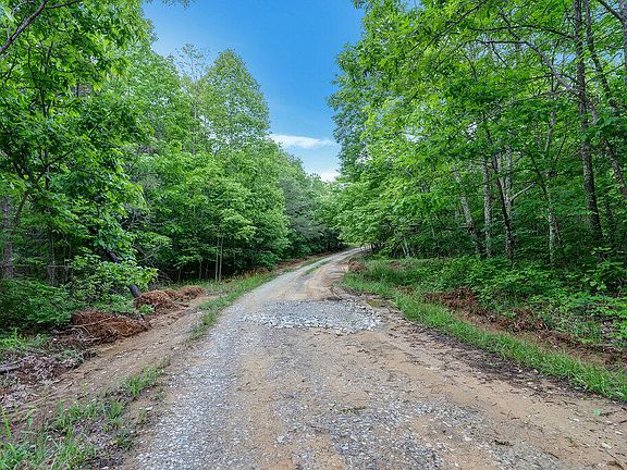 12th image of this home