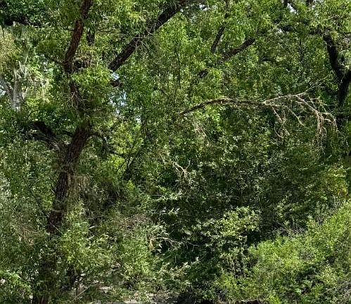 4th image of 0 O'Uvas Rd