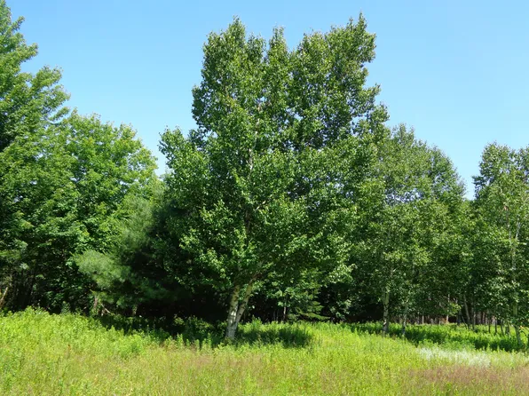 Lot 19 Bailey Mountain Road, Franklin, ME 04634