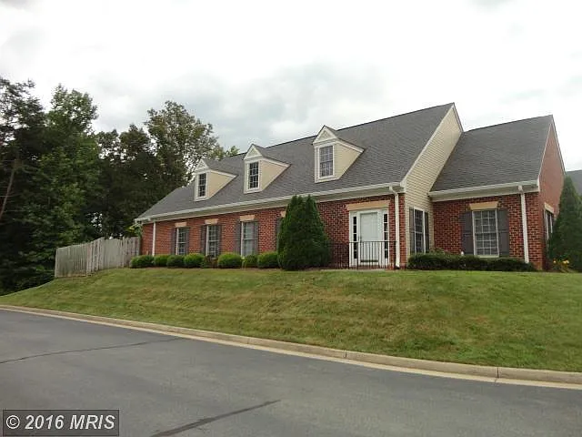 12117 Meadow Branch Way photo 1