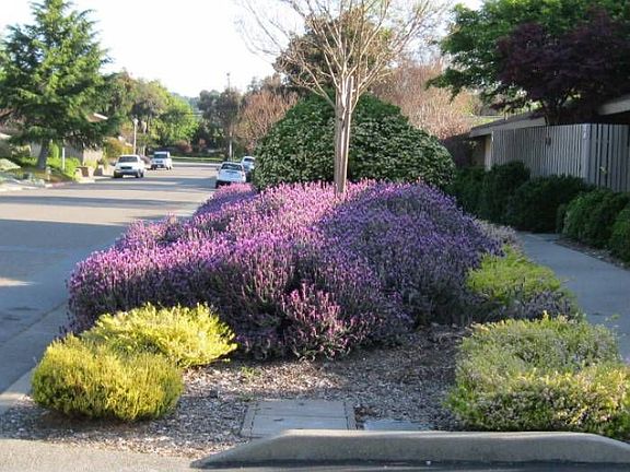 Landscaping at Roundtree