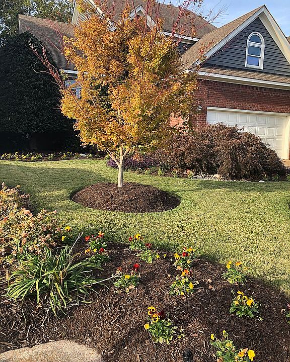 1st image of 1508 Bordeaux Pl