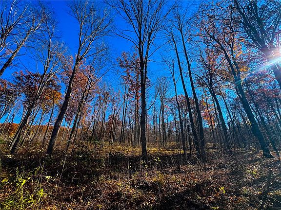 5th image of Lot 7 & 8 Breakneck Road