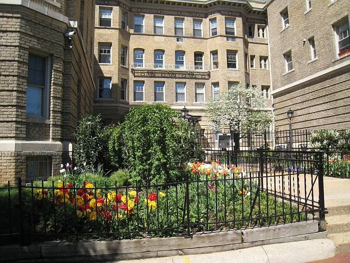well-tended garden