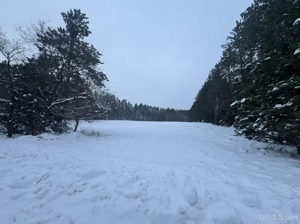 Treves Farm Rd, Norway, MI 49870