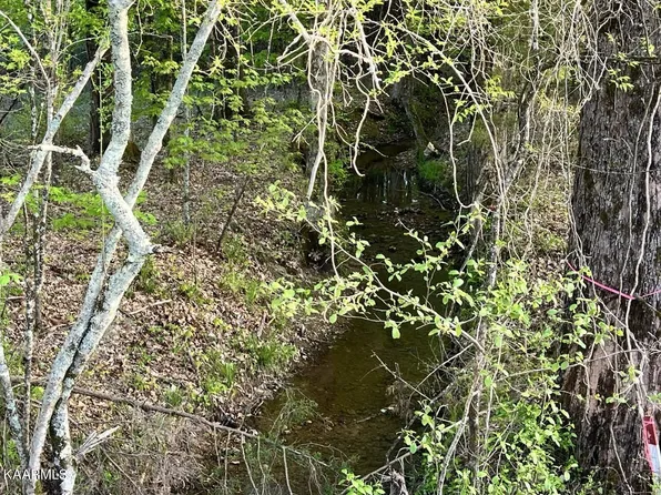 15328 N Nopone Valley Rd, Decatur, TN 37322