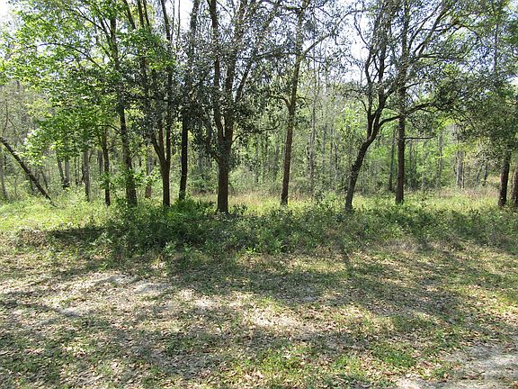 2nd image of 4783 Kangaroo Cir