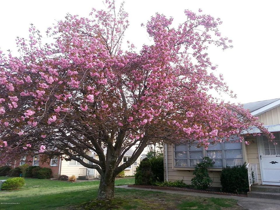 1st image of 7A Crockett Ln