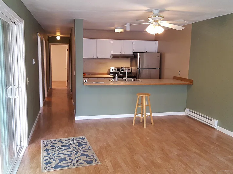 Kitchen and Living Rm