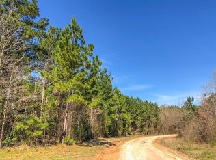 160 Boys Camp Rd, New Waverly, TX 77358