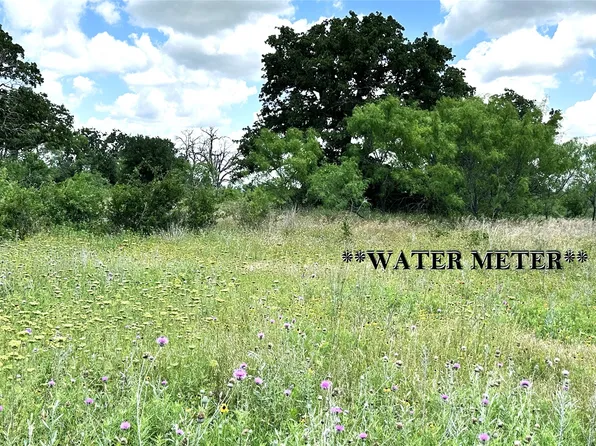 17 County Road 295, Carbon, TX 76435