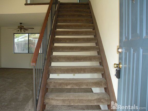 3rd image of 3491 Binghamton Dr