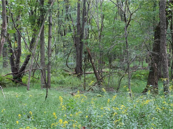 Summer Valley Rd Lot 6, New Ringgold, PA 17960