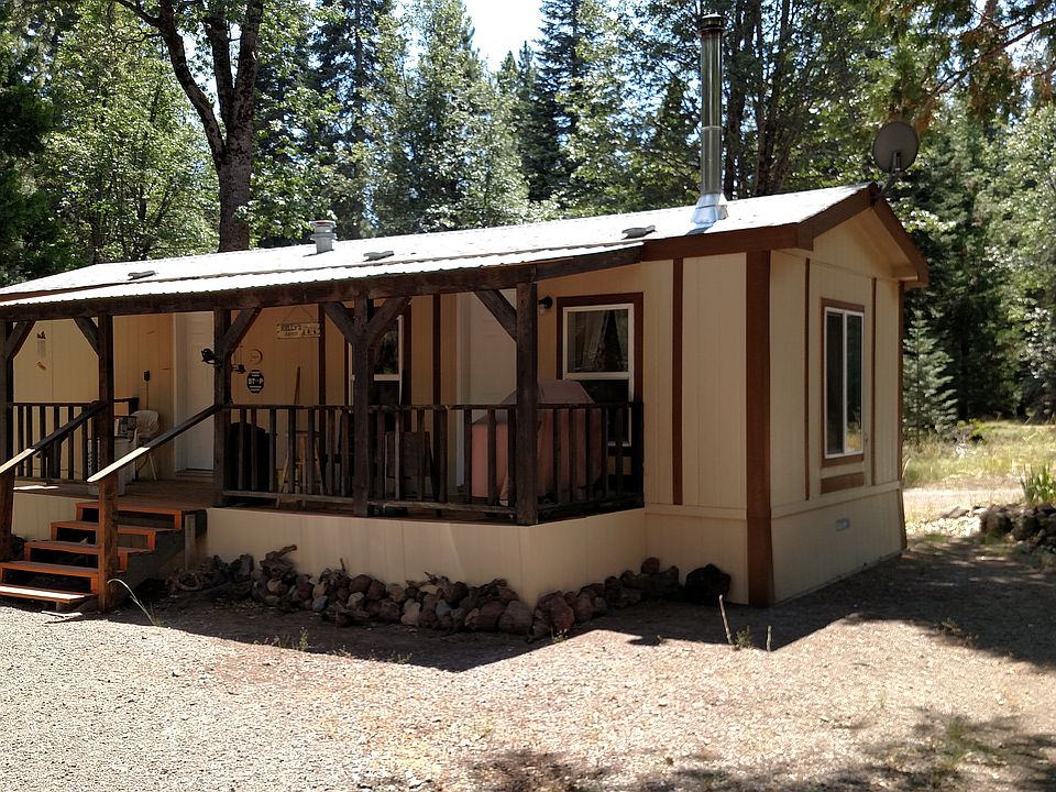 1st image of Mt Shasta Forest