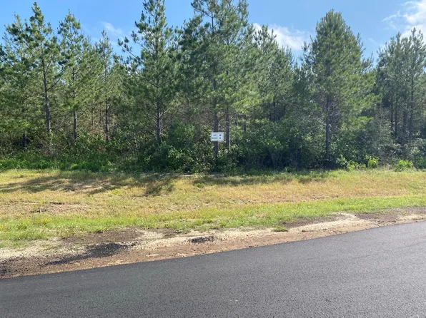 11873 Moss Grove Ct Lot 46, Willis, TX 77378