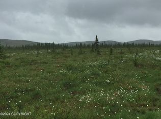 L28 Antares Rd, Healy, AK 99743