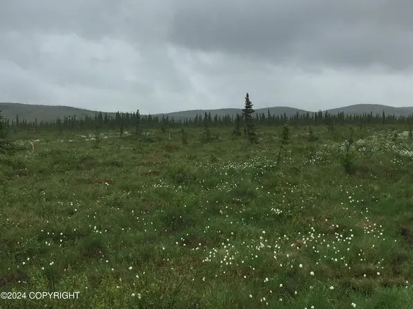 L28 Antares Rd, Healy, AK 99743