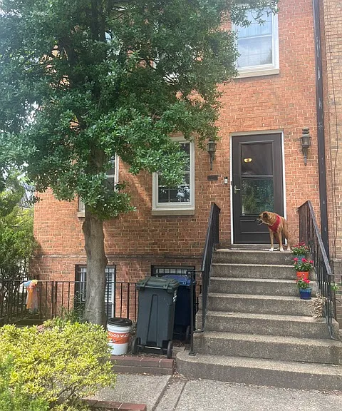 431 G St SW #BASEMENT — Photo 1