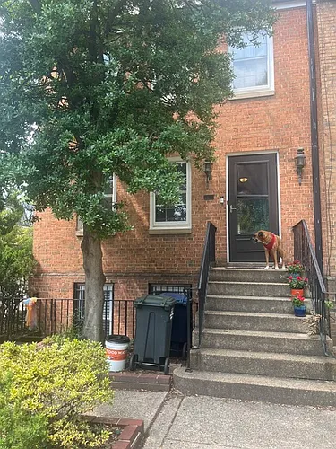 431 G St SW #BASEMENT Photo 1