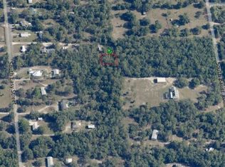 1133 W Cushman Ct, Lecanto, FL 34461