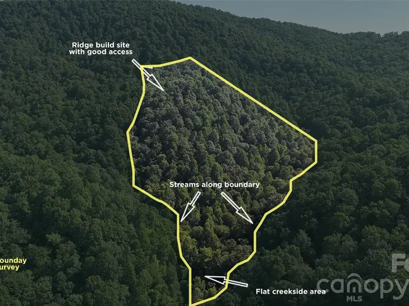 454 Forest Brook Dr, Black Mountain, NC 28711
