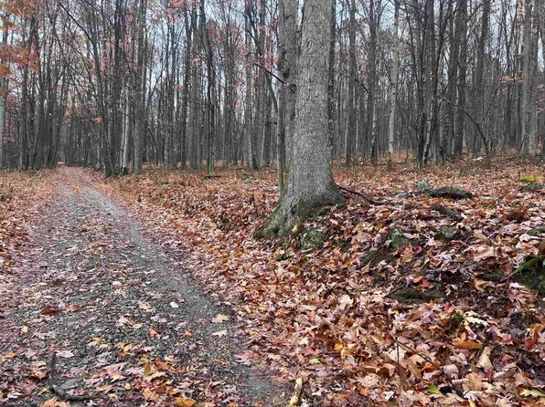 White Farm Dr, Belington, WV 26250