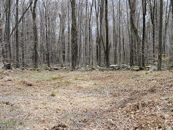 5th image of 21 Antler Dr