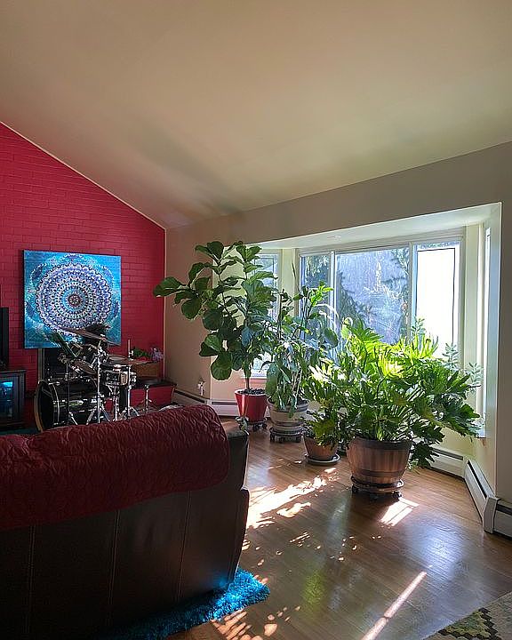 1st image of 62 Birchwwod Park Dr