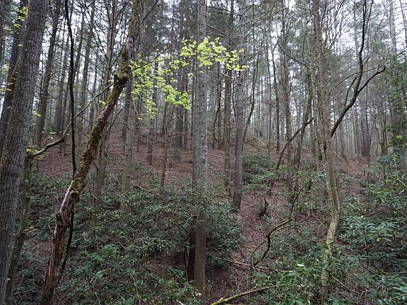 4th image of 5528 Nc Hwy 18 S