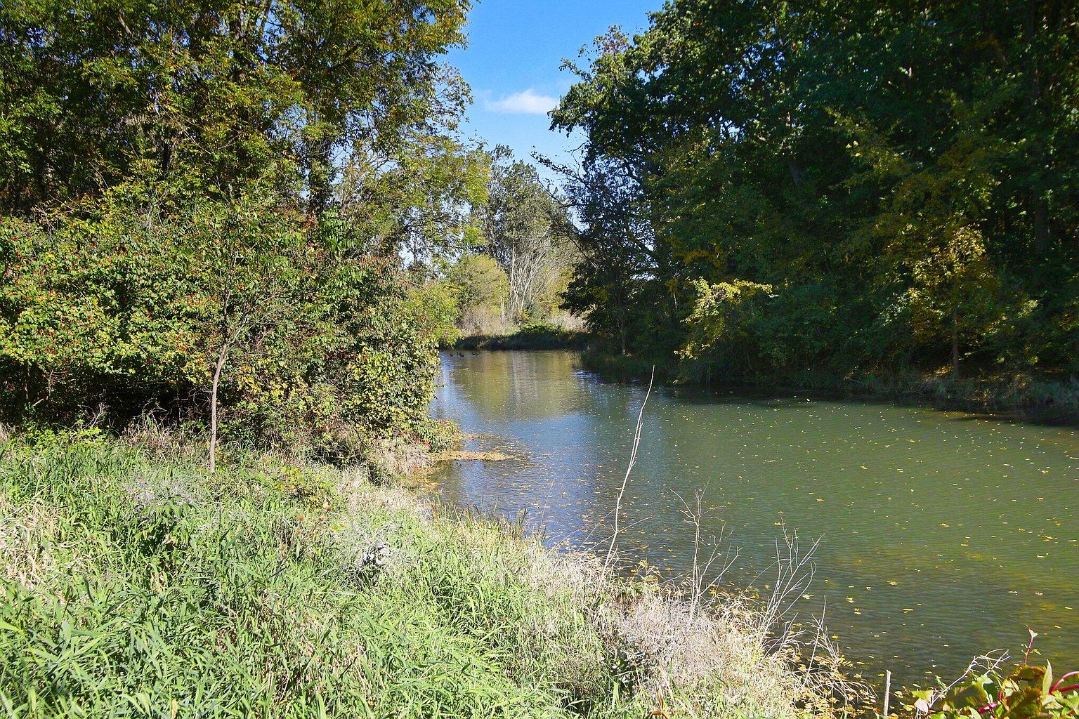 11499 Parr Rd, Manchester, MI 48158 — photo 23