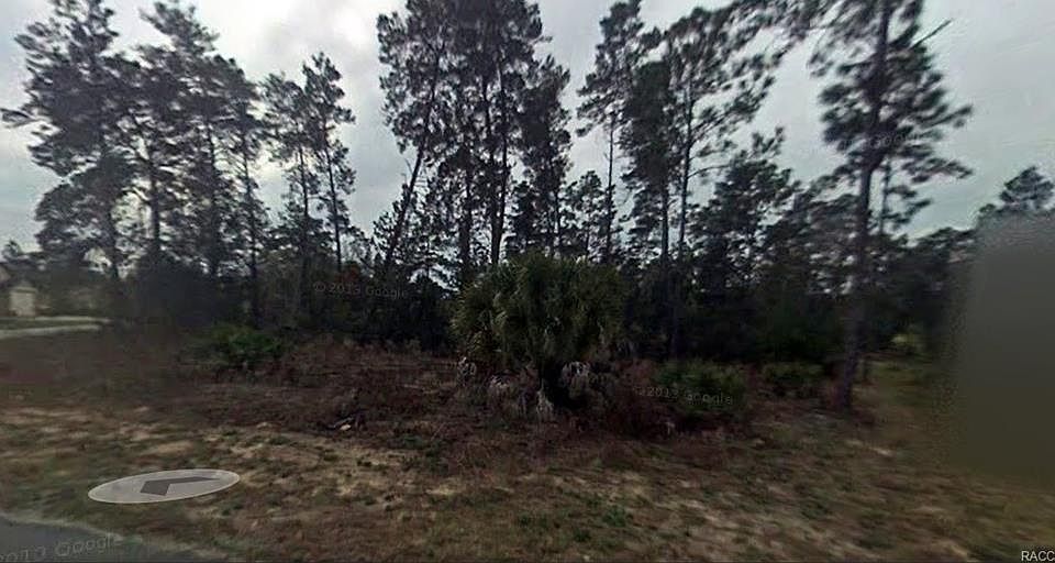 1st image of 5 Dracaena Ct