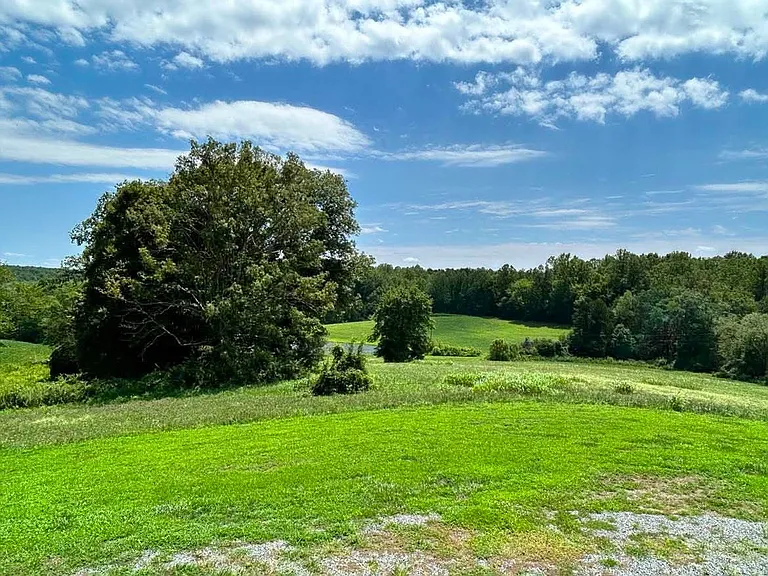 868 Longshot Ln — Photo 5