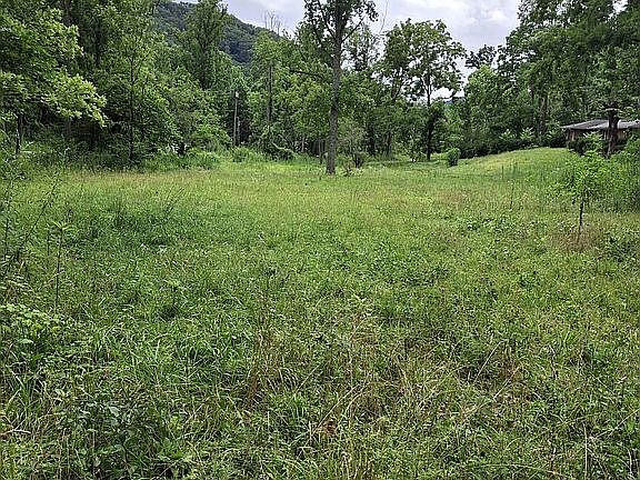 3rd image of 278 Shope Creek Rd