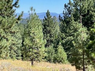 1725 Grizzly Rd, Portola, CA 96122