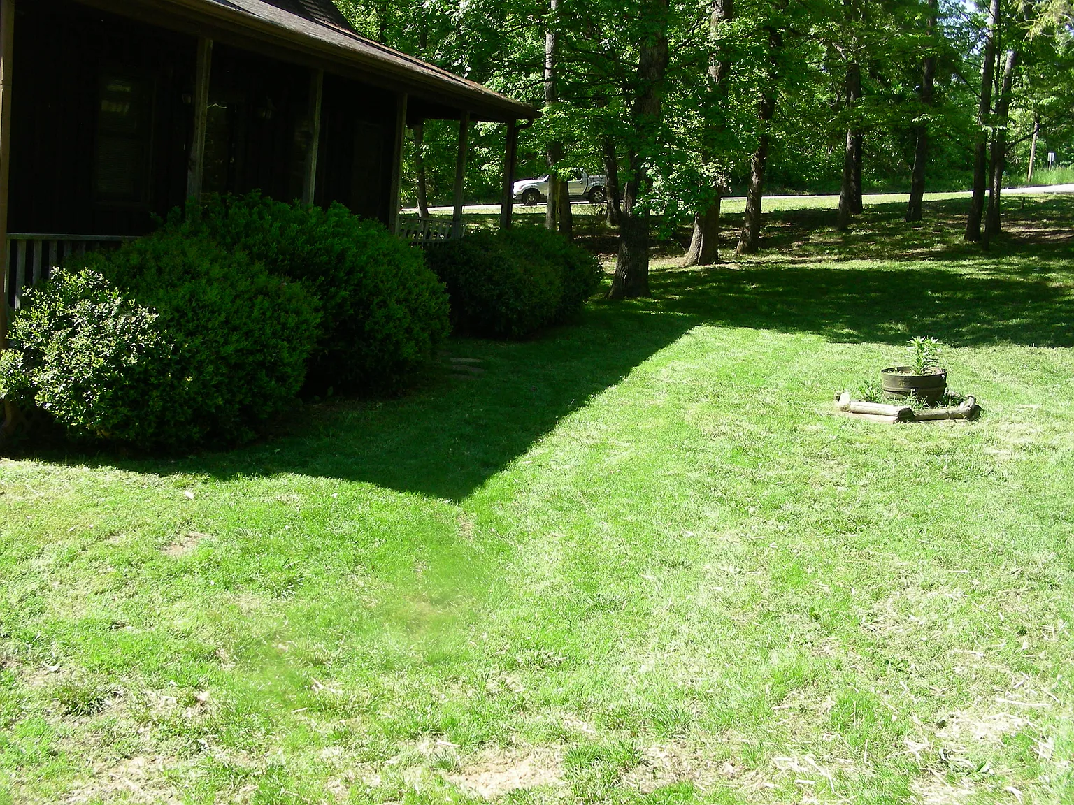 3 bed, 1768 sqft, $2,000 — Photo 2