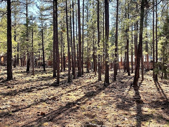 3rd image of 7089 Moon Creek Cir