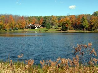 6162 Coss Corners Rd, Bath, NY 14810