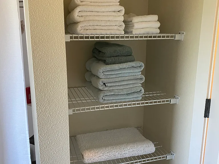 Hall bath linen area