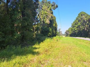 SW Elim Church Rd, Fort White, FL 32038