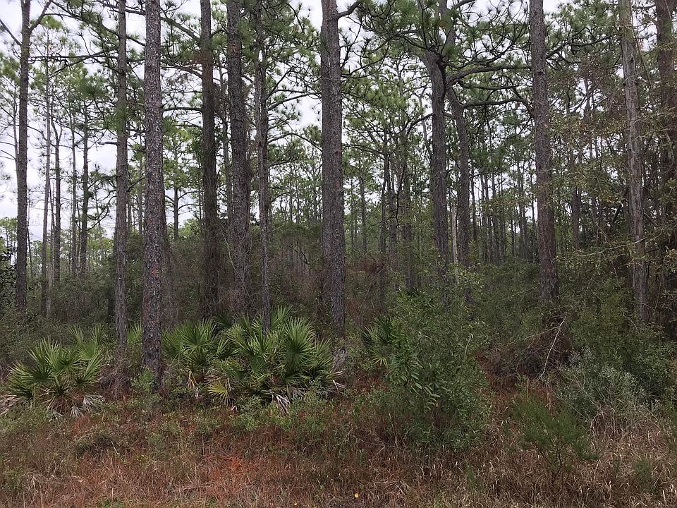 1st image of 22 Mussett Bayou Ct