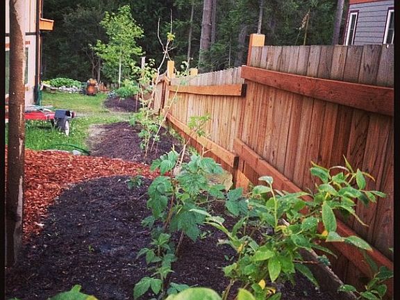 raised garden beds
