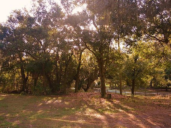 3rd image of 1820 Palmetto Dr