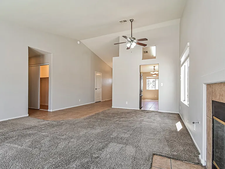4515 Shannon Jean Ct — Photo 6