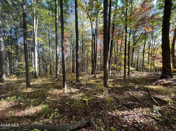 LOT 3 French Creek Rd, Everett, PA 15537
