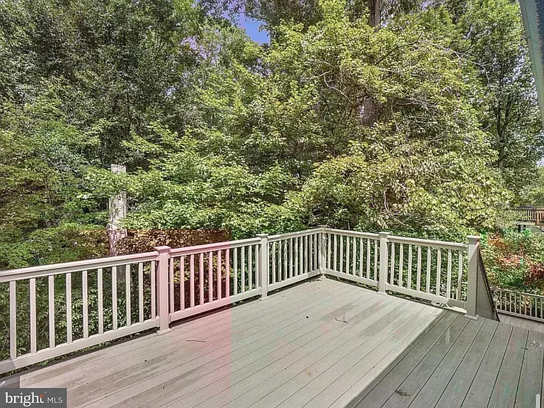 10788 Forest Edge Cir — Photo 14