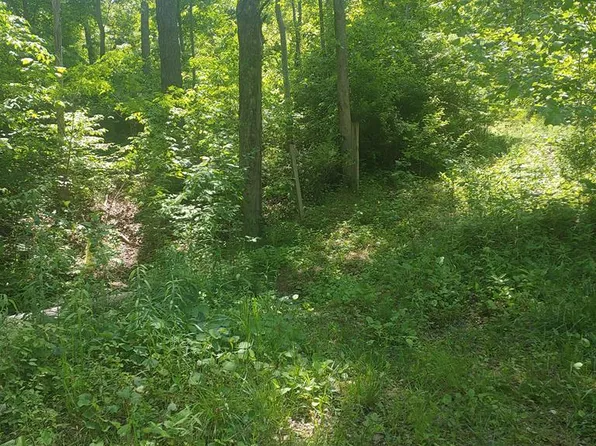 0 McCorkle Rockwell Rd, Lucasville, OH 45648