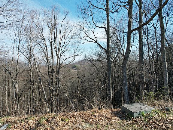 4th image of LOT 2B Spurling Rd