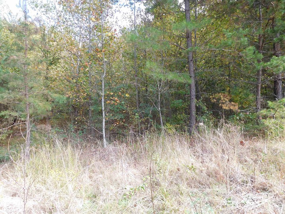 2nd image of Lyman Dr