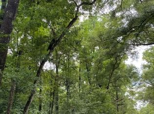 290 Terrace, Branford, FL 32008