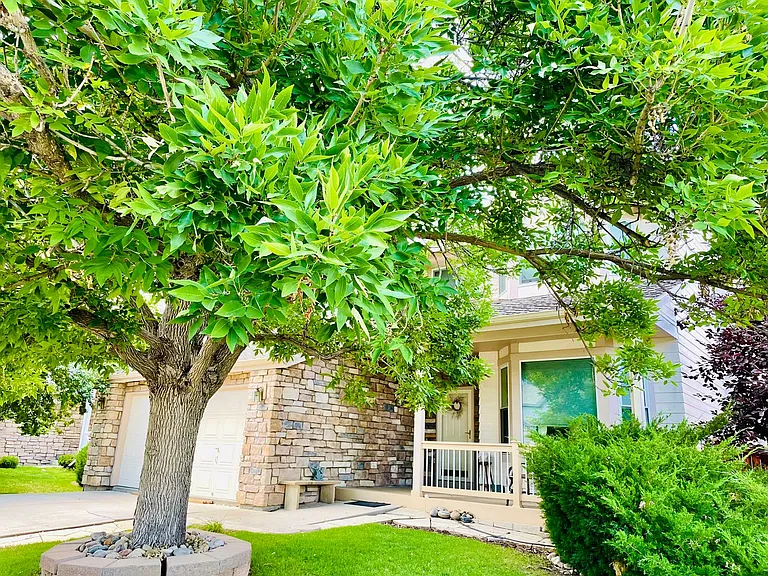 815 Spyglass Cir — Photo 8